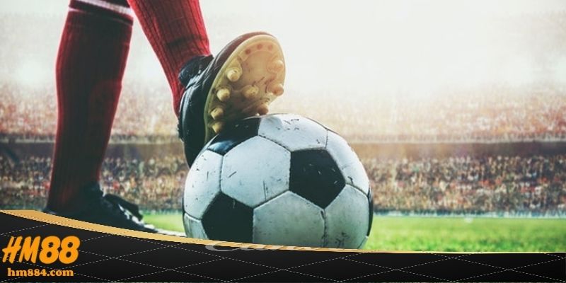 Các yếu tố then chốt cần xem xét trước khi nhận định kèo