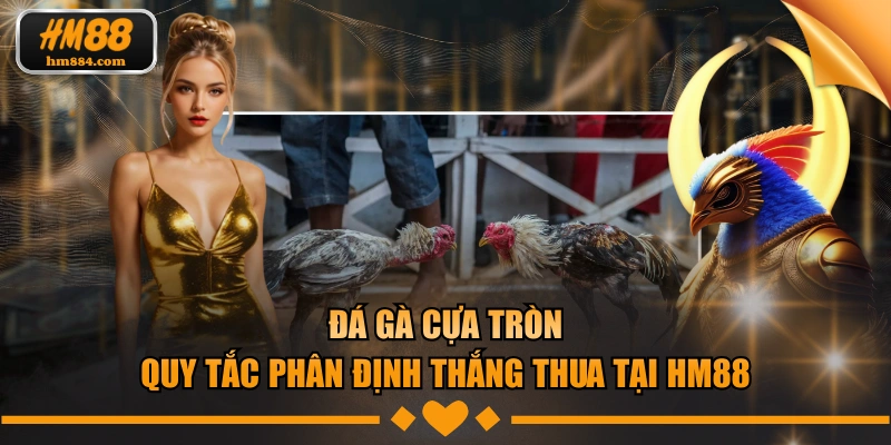 Đá gà cựa tròn