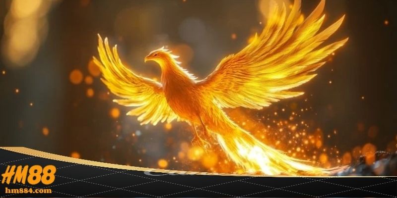 Phoenix Fire và cơ chế vận hành đầy cuốn hút tại HM88