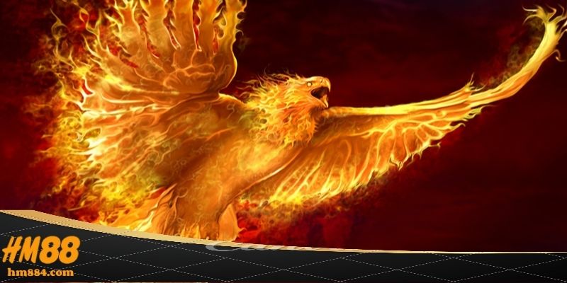 Phượng hoàng lửa giữ chân hội viên bằng yếu tố nào