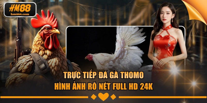 trực tiếp đá gà thomo